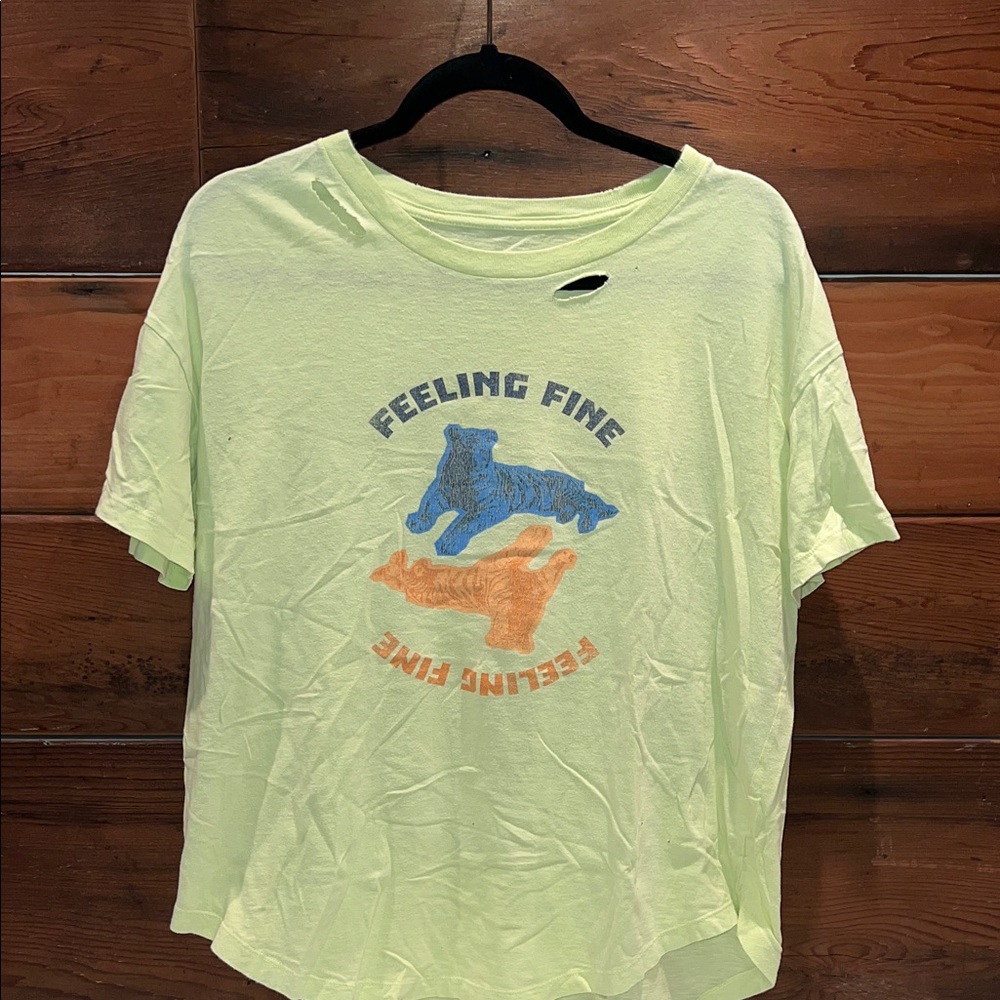 🔥‼️Aerie Light Green 'Feeling Fine' Graphic Tee‼️🔥